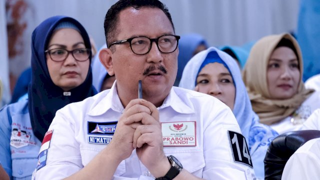 Ketua Demokrat Sulsel Nimatullah. (ist)