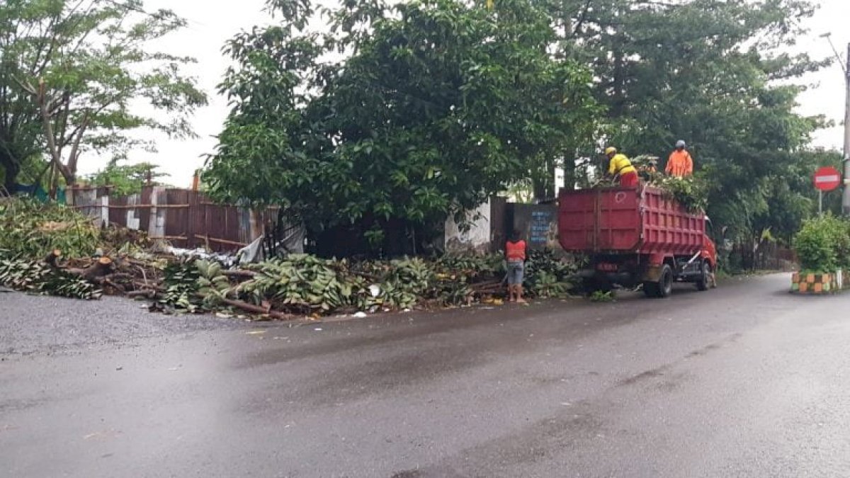 DLH, Damkar dan Dinsos Parepare Gerak Cepat Pemulihan Pascahujan Lebat