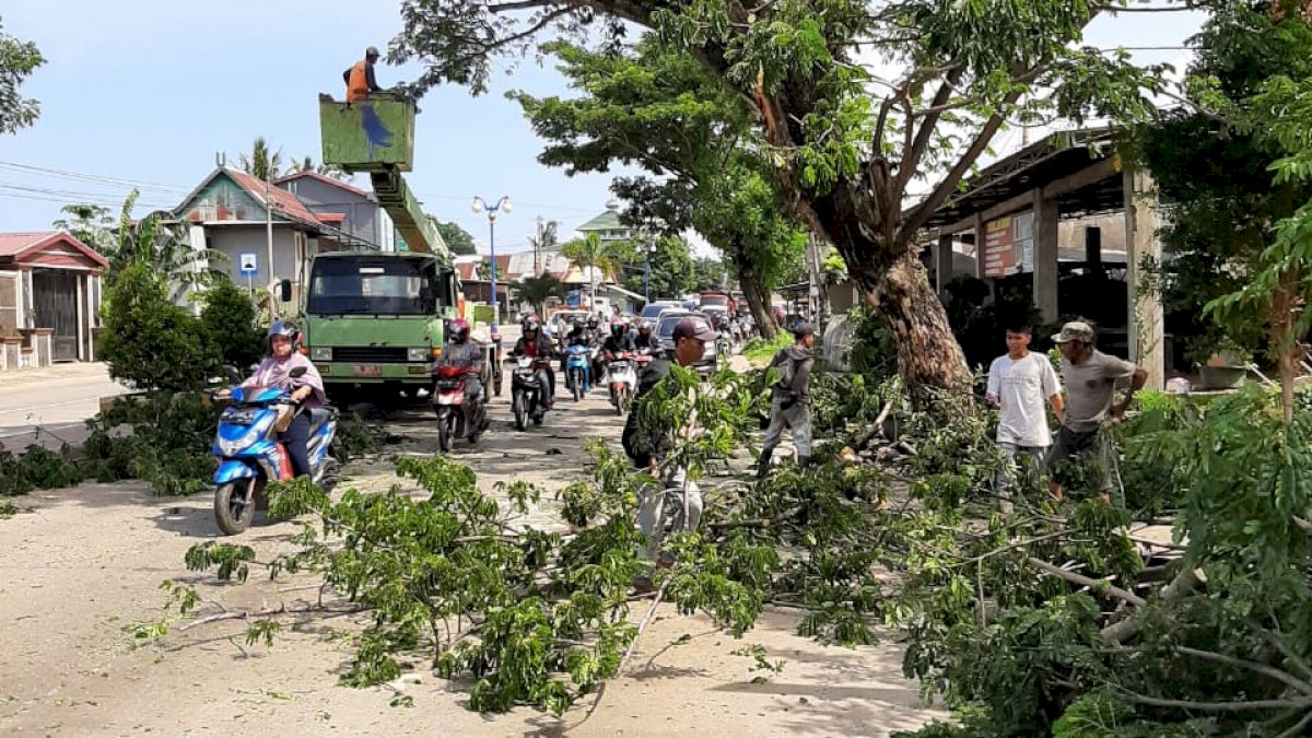 DPKP Barru Pangkas Pohon Tumbang di Jalur Poros Makassar-Parepare