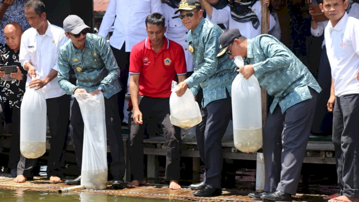 Nurdin Abdullah Lepas 5 Ribu Bibit Ikan Emas ke Danau Tempe