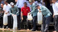 Nurdin Abdullah Lepas 5 Ribu Bibit Ikan Emas ke Danau Tempe