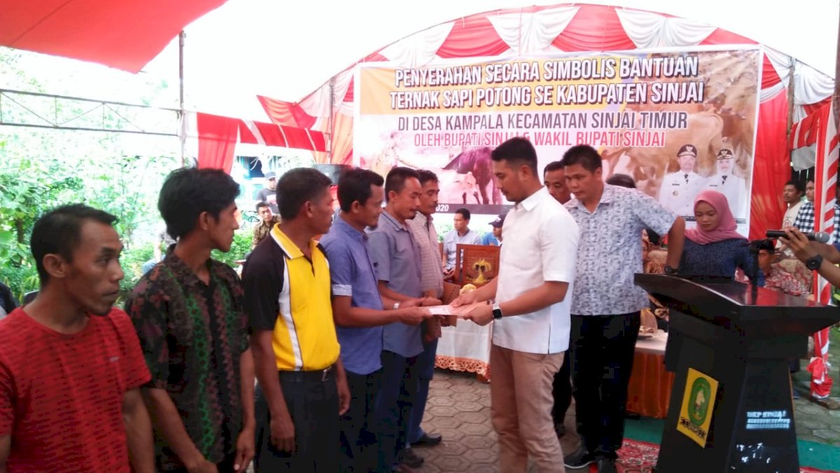 20 Kelompok Ternak Dapat Bantuan Sapi dari Pemkab Sinjai