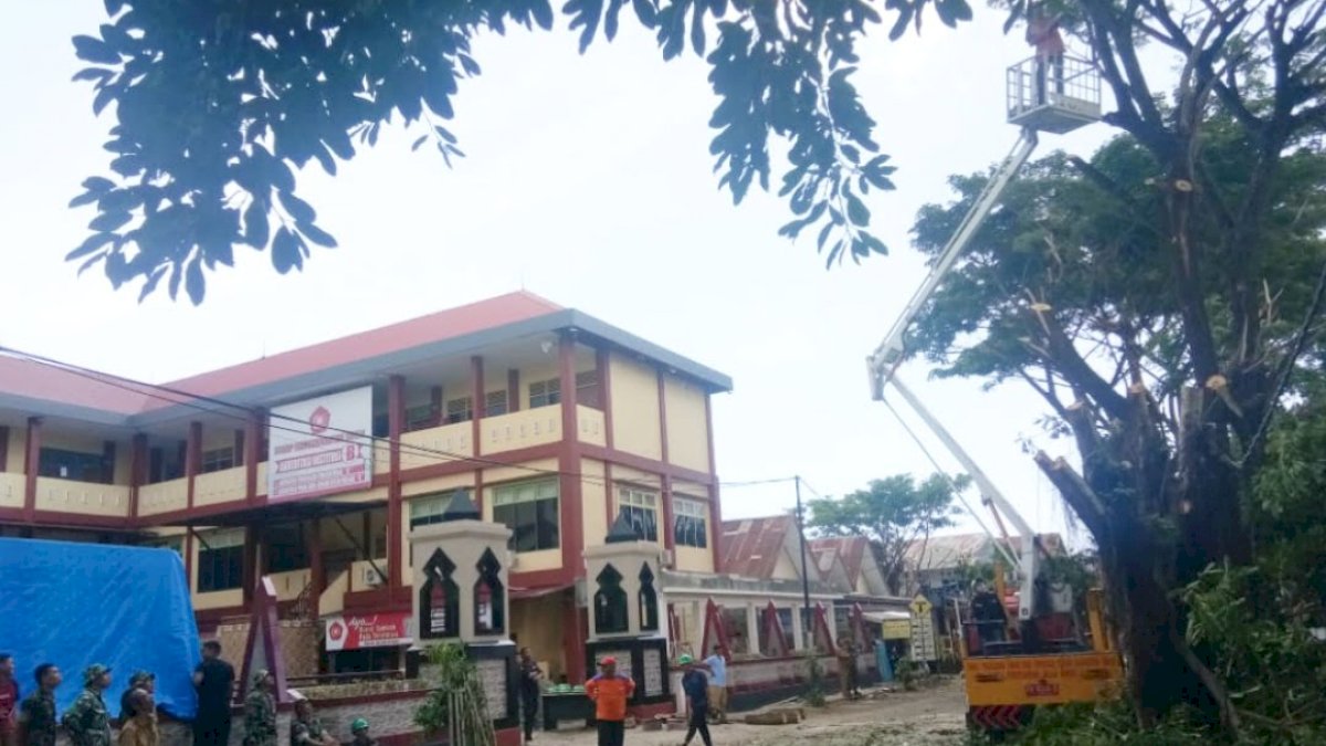 Musim Hujan, BPBD Sinjai Pangkas Pohon di Sejumlah Wilayah