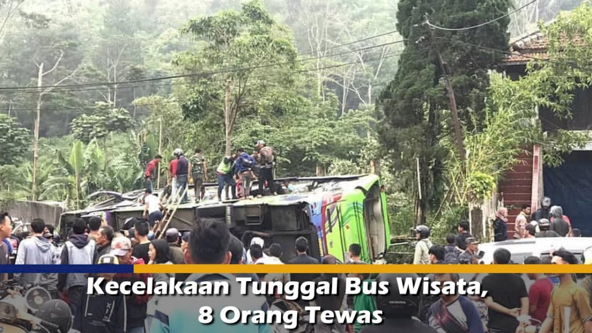 VIDEO: Kecelakaan Tunggal Bus Wisata, 8 Orang Tewas