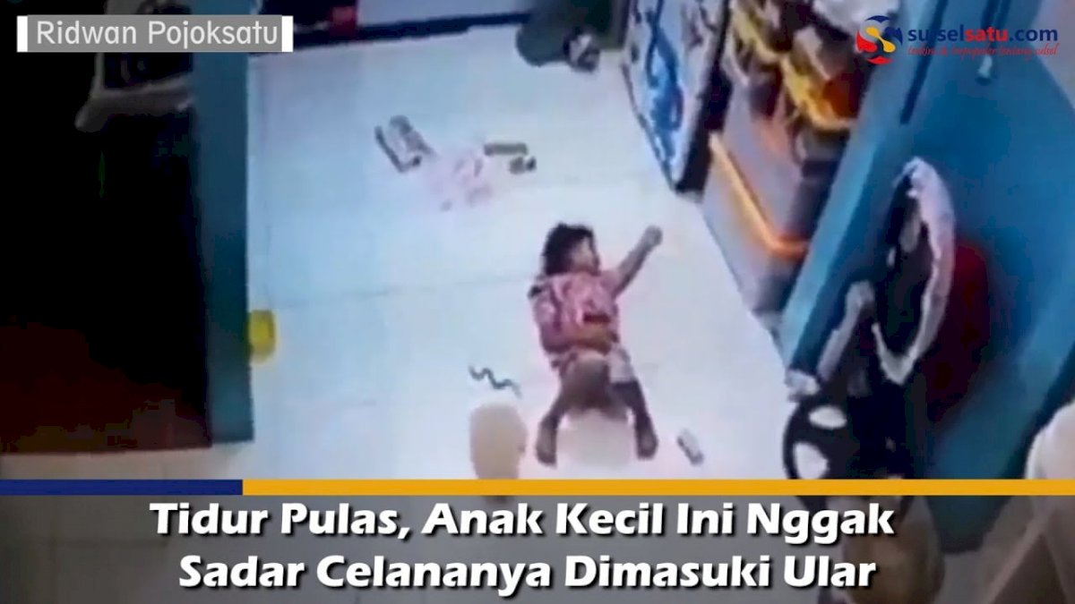 VIDEO: Tidur Pulas, Anak Kecil Ini Nggak Sadar Celananya Dimasuki Ular
