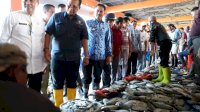 Iqbal Janji Renovasi Pusat Pelelangan Ikan Paotere