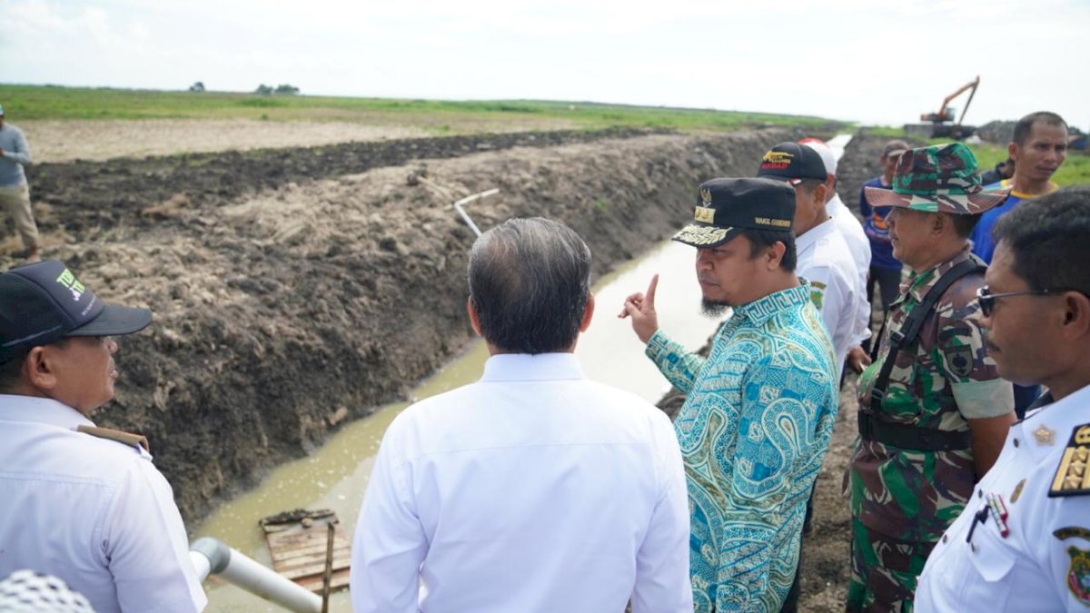 Berkat Program ‘Serasi’, 6.000 Hektare Sawah di Sidrap Kini Tak Lagi Kesulitan Air
