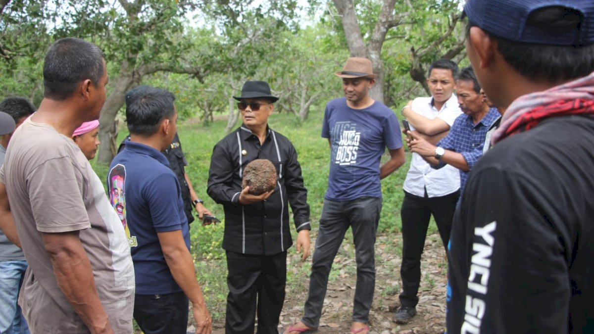 Bupati Enrekang dan Wakil Ketua DPRD Sulsel Nikmati Akhir Pekan dengan Berkebun Porang