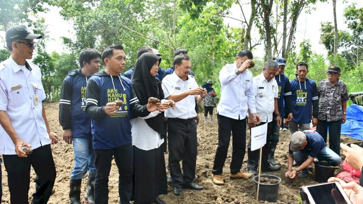 Tinjau Porang, Syaharuddin Alrif Boyong Pejabat Kementan ke Bendoro