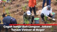 VIDEO: Cegah banjir dan Longsor, Jokowi Tanam Vetiver di Bogor