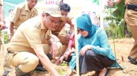 Kementan Suplai Rp5,3 Miliar untuk Pengembangan Hortikultura di Barru
