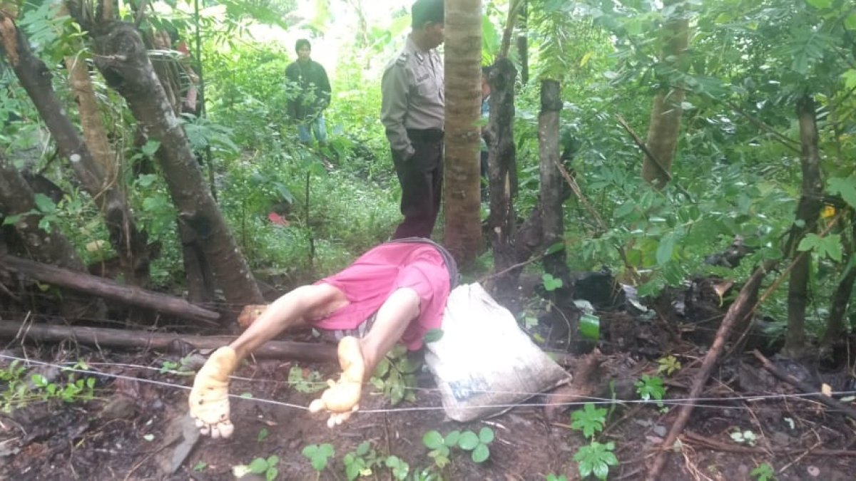 Diduga Kesetrum Listrik Penangkal Babi Hutan, Nenek di Barru Tewas