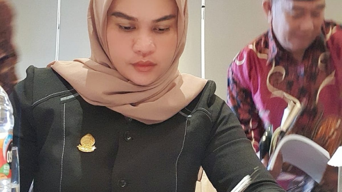 DPRD Jeneponto Desak Pemerintah Perhatikan APD Tenaga Medis