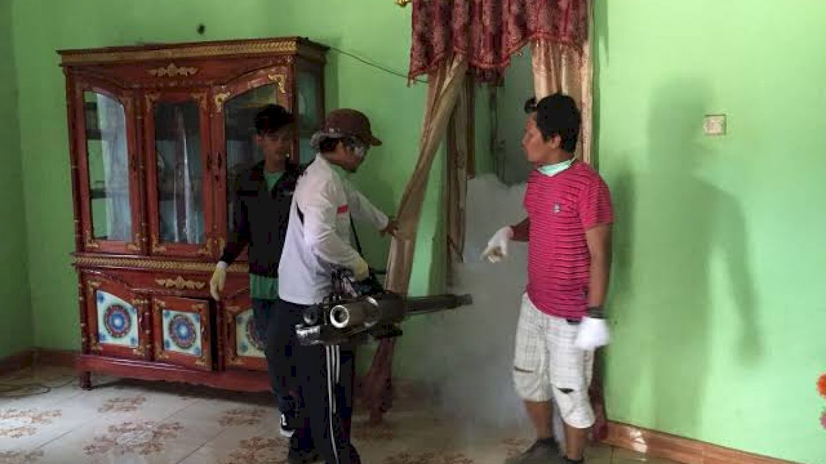 Dinkes Sinjai Bantah Tak Ada Anggaran Fogging