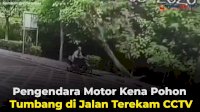 VIDEO: Pengendara Motor Kena Pohon Tumbang di Jalan Terekam CCTV
