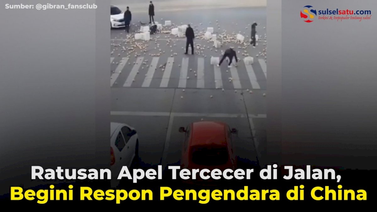 VIDEO: Ratusan Apel Tercecer di Jalan, Begini Respon Pengendara di China
