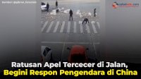 VIDEO: Ratusan Apel Tercecer di Jalan, Begini Respon Pengendara di China