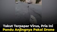 VIDEO: Takut Terpapar Virus, Pria Ini Pandu Anjingnya Pakai Drone