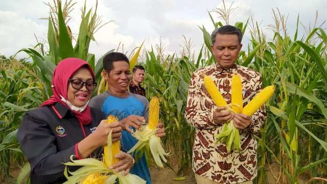 istimewa