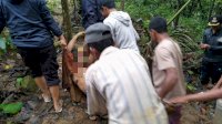 Nyaris Tewas, Kakek di Sinjai Luka Parah Dibacok Anak Stres