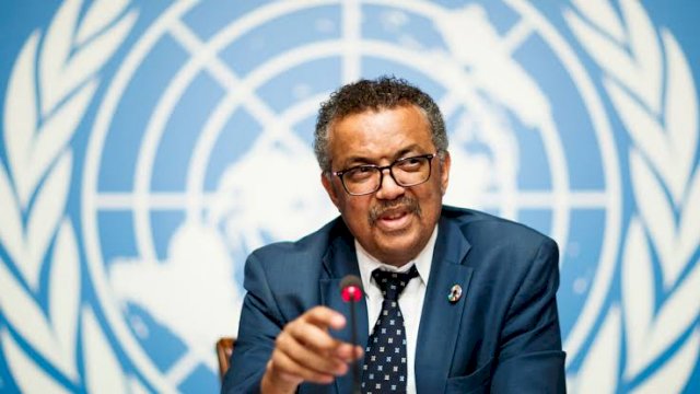 Direktur Jenderal WHO Tedros AdhanomGhebreyesus. (foto/int)