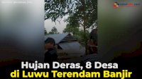 VIDEO: Hujan Deras, 8 Desa di Luwu Terendam Banjir