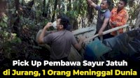 VIDEO: Pick Up Pembawa Sayur Jatuh di Jurang, 1 Orang Meninggal Dunia