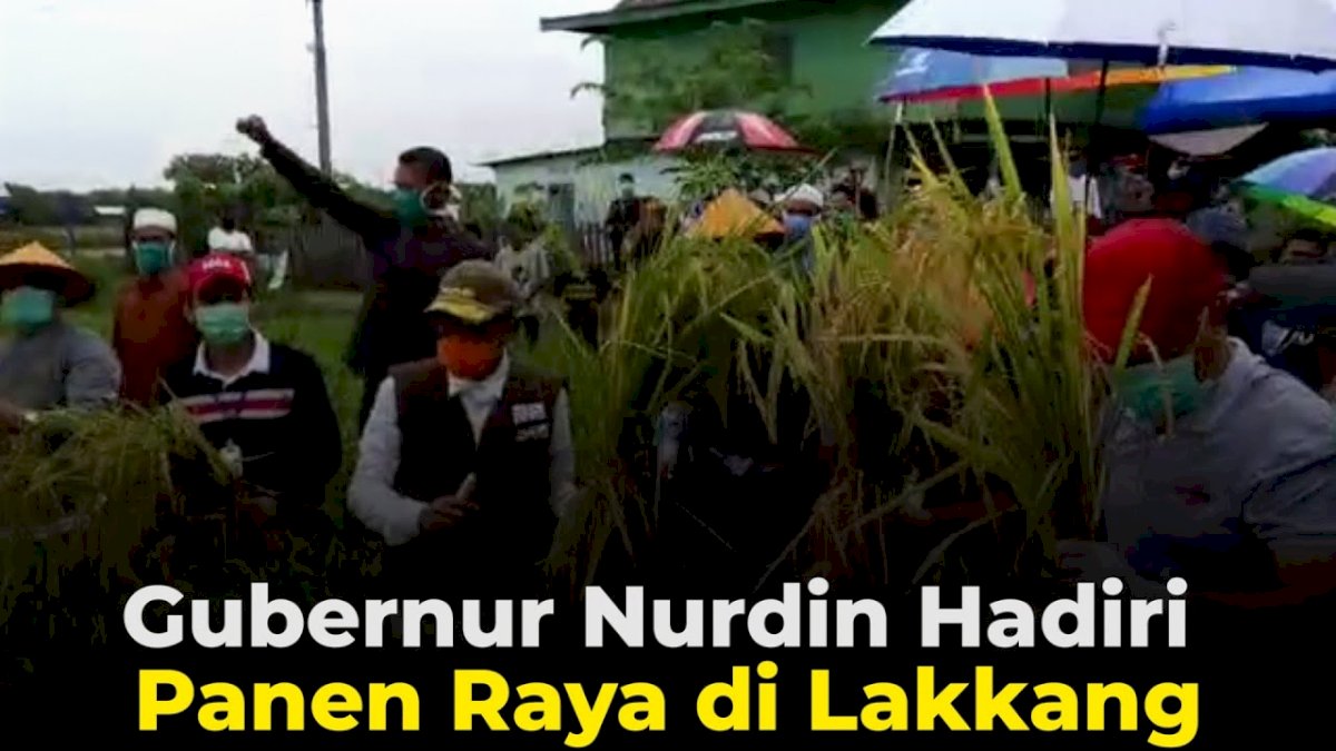 VIDEO: Gubernur Nurdin Hadiri Panen Raya di Lakkang