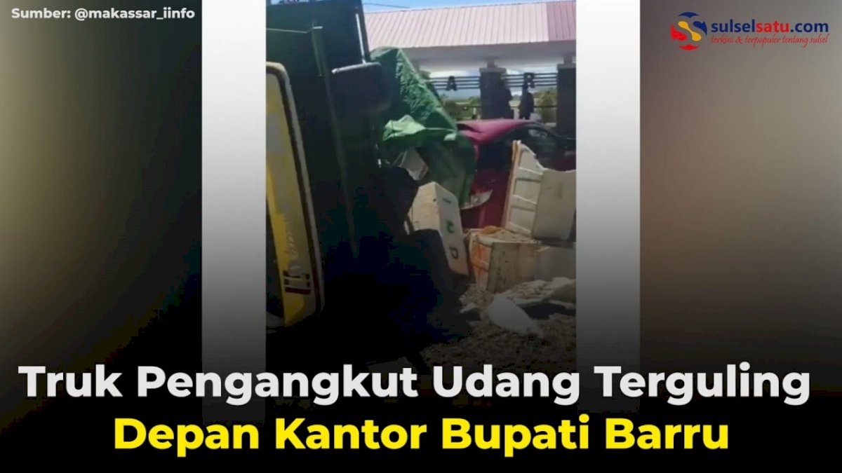 VIDEO: Truk Pengangkut Udang Terguling Depan Kantor Bupati Barru