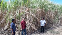 Di Saat Banyak PHK, JBM Bombana Pekerjakan Ribuan Warga Lokal