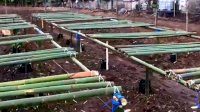 H-1 Idul Fitri 1441 H Lantamal VI Rampungkan Pembuatan Para-para untuk Tanaman Buah