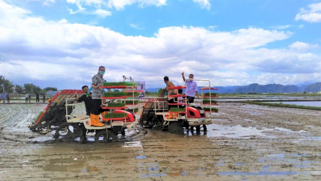 Mentan SYL tanam padi bersama para petani di Kabupaten Maros. (ist)