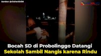 VIDEO: Bocah SD di Probolinggo Datangi Sekolah Sambil Nangis karena Rindu