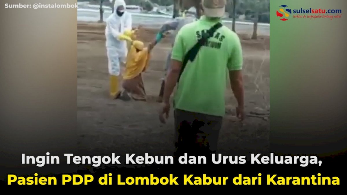 VIDEO: Ingin Tengok Kebun dan Urus Keluarga, Pasien PDP di Lombok Kabur dari Karantina