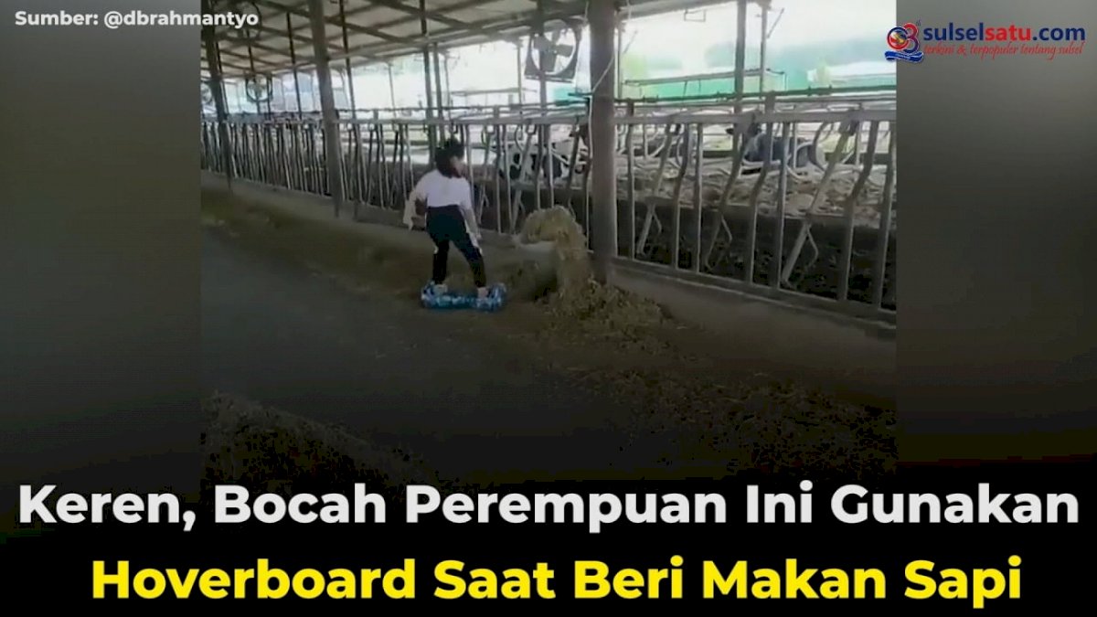 VIDEO: Keren, Bocah Perempuan Ini Gunakan Hoverboard Saat Beri Makan Sapi