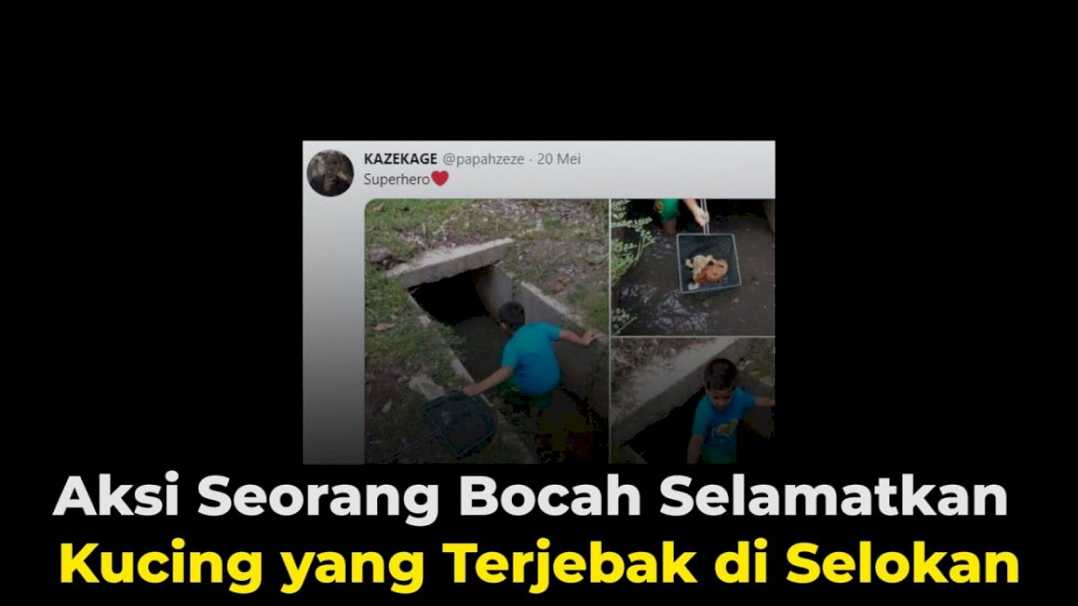 VIDEO: Aksi Seorang Bocah Selamatkan Kucing yang Terjebak di Selokan