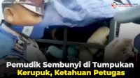 VIDEO: Pemudik Sembunyi di Tumpukan Kerupuk, Ketahuan Petugas