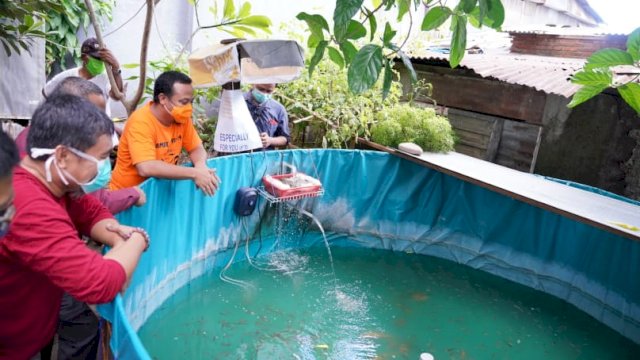 Sudirman Sulaiman kunjungi pembibitan ikan dan pemanfaatan pekarangan warga di Keluarahan Bara-Baraya, Kecamatan Makassar. (ist)