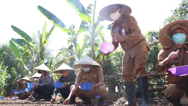 istimewa