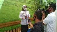 2 Pasien Positif Covid-19 di Parepare Dinyatakan Sembuh