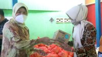 Jamin Pemenuhan Warga, Hasnah Syam Salurkan Gizi Balita dan Ibu Hamil