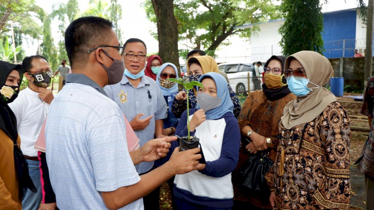 Bernilai Ekonomi Tinggi, Lies Perkenalkan Tanaman Porang ke Masyarakat