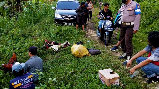Penggerebekan judi sabung ayam di Sinjai. (ist)