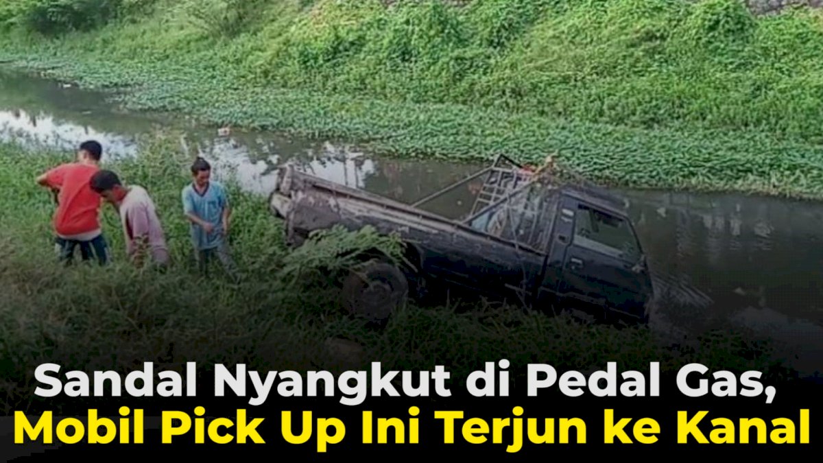 VIDEO: Sandal Nyangkut di Pedal Gas, Mobil Pick Up Ini Terjun ke Kanal