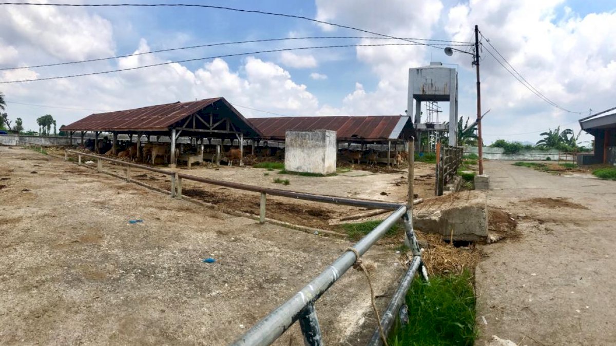Revitalisasi RPH Antang Dianggarkan Rp19,5 Miliar