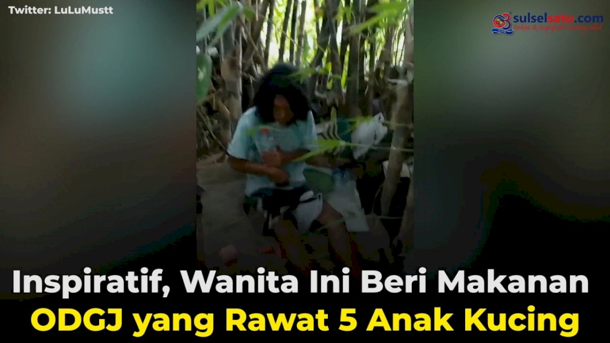VIDEO: Inspiratif, Wanita Ini Beri Makanan ODGJ yang Rawat 5 Anak Kucing