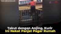 VIDEO: Takut dengan Anjing, Kurir Ini Nekat Panjat Pagar Rumah