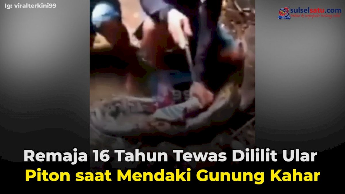 VIDEO: Remaja 16 Tahun Tewas Dililit Ular Piton saat Mendaki Gunung Kahar