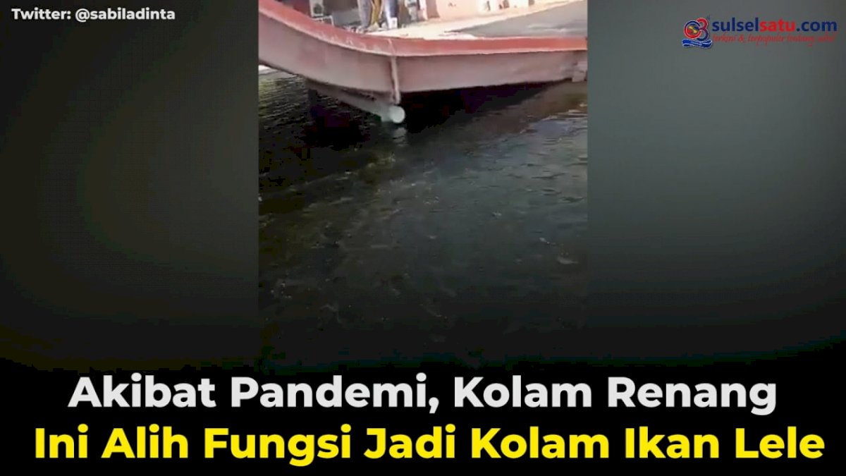 VIDEO: Akibat Pandemi, Kolam Renang Ini Alih Fungsi Jadi Kolam Ikan Lele
