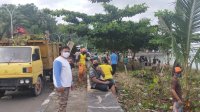 DLH Parepare Keroyok Sampah Sepanjang Pantai Mattirotasi